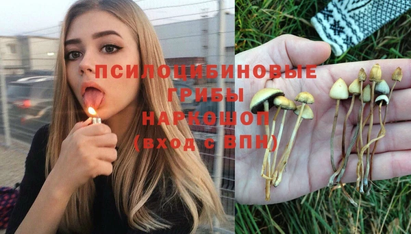 марки lsd Белокуриха