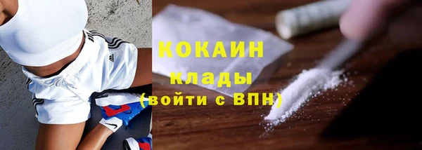 молекула духа Белоозёрский