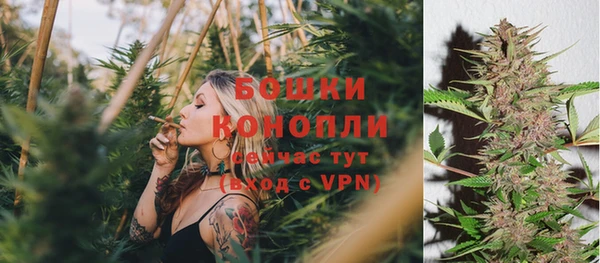 молекула духа Белоозёрский