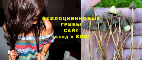 марки lsd Белокуриха