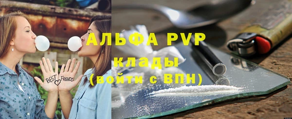 молекула духа Белоозёрский