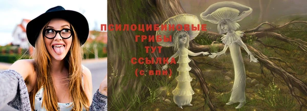 молекула духа Белоозёрский
