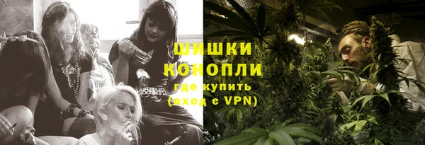 молекула духа Белоозёрский