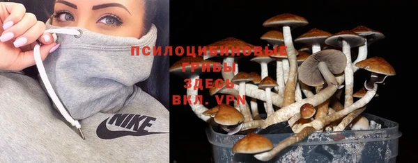 прущая мука Беломорск